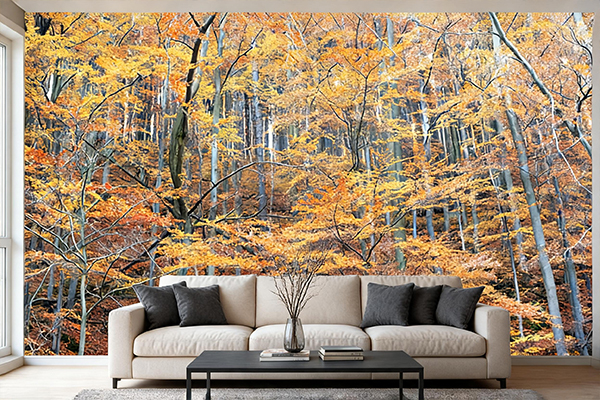 Fototapeta Jesienny las DEW02 – Wall-It